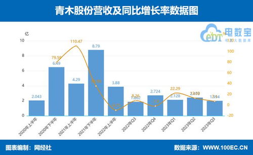 MCN機(jī)構(gòu)對電商代運(yùn)營的影響及五大前景分析