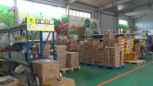 奇臺縣政協(xié)視察電子商務工作，推動服務升級賦能縣域發(fā)展